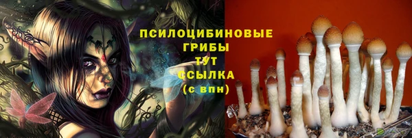 СК Верея