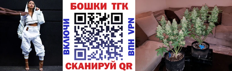 ссылка на мегу онион  цена   Вязьма  Конопля SATIVA & INDICA 